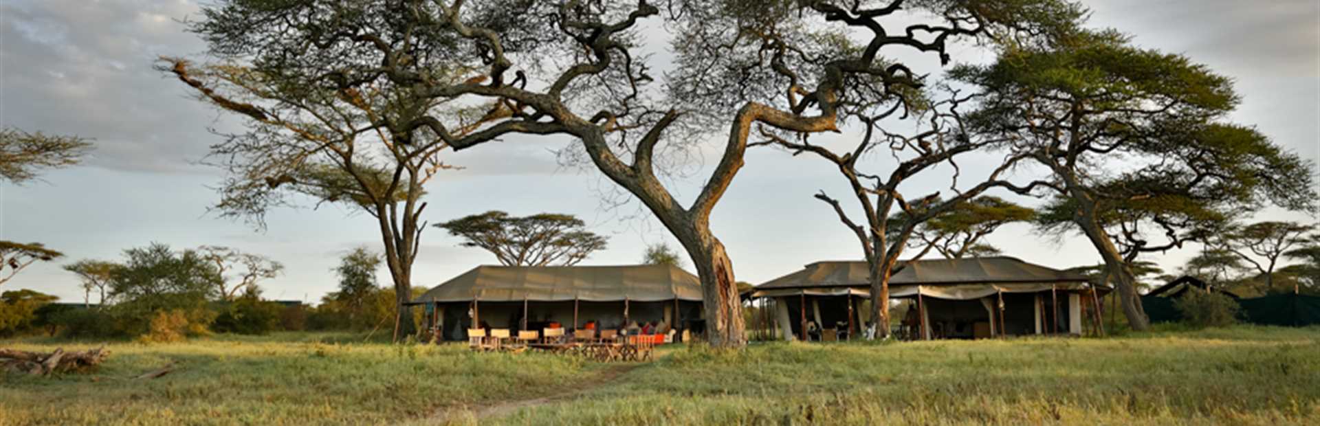 Lemala Mara Camp